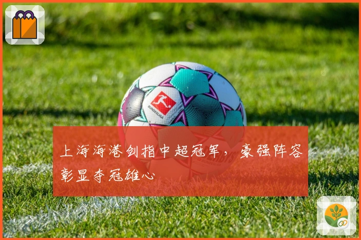 上海海港剑指中超冠军，豪强阵容彰显夺冠雄心